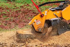 Best Pest Control for Lawns  in Boles Acres, NM